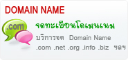 DOMAIN, Domain Name, โดเมน เนม,ชื่อเว็บไซต์,.com,.net,.org,.info,.biz